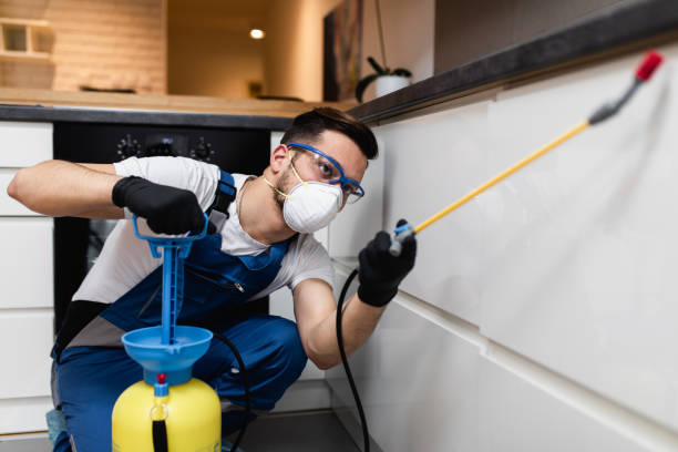 Best Emergency Pest Control  in Cresco, IA