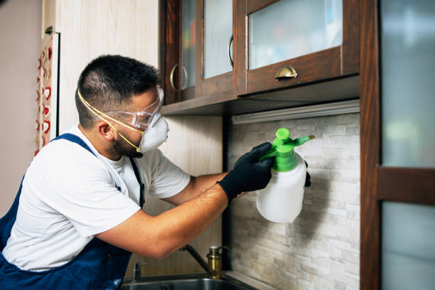 Best Mosquito Control Services  in Cresco, IA