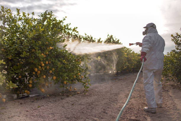 Best Best Pest Control Companies  in Cresco, IA