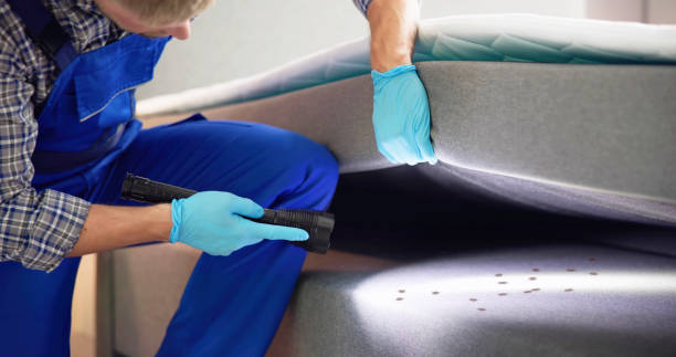 Best Termite Control Services  in Cresco, IA