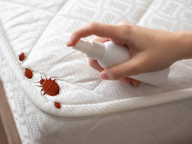 Trusted Cresco, IA Pest Control Experts