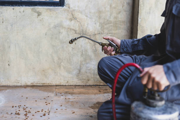Best Residential Pest Control  in Cresco, IA