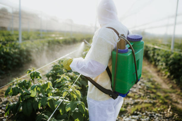 Trusted Cresco, IA Pest Control Experts